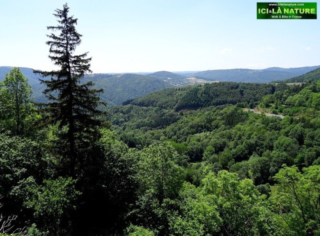 61-landscape france st james way le puy