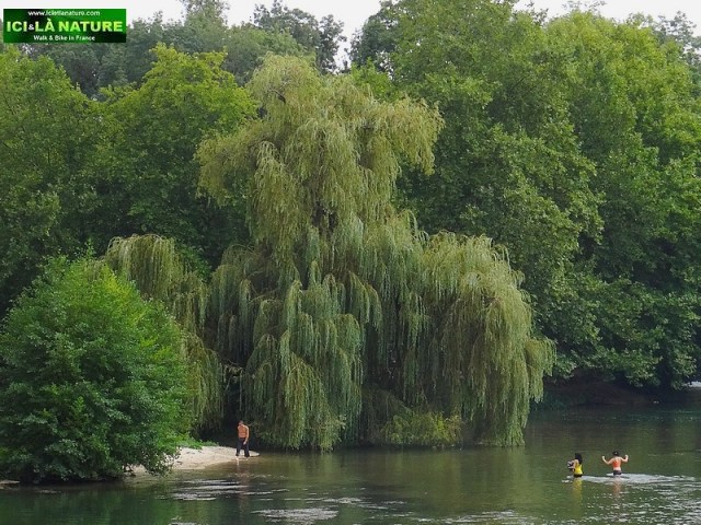 70-jarnac cognac cycling trip france