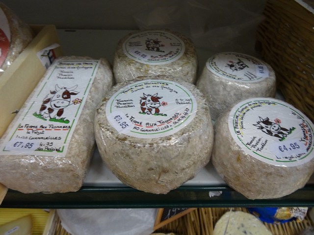 73-france way st james camino frances trip