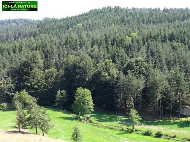 78-camino way st james gr 65 le puy route