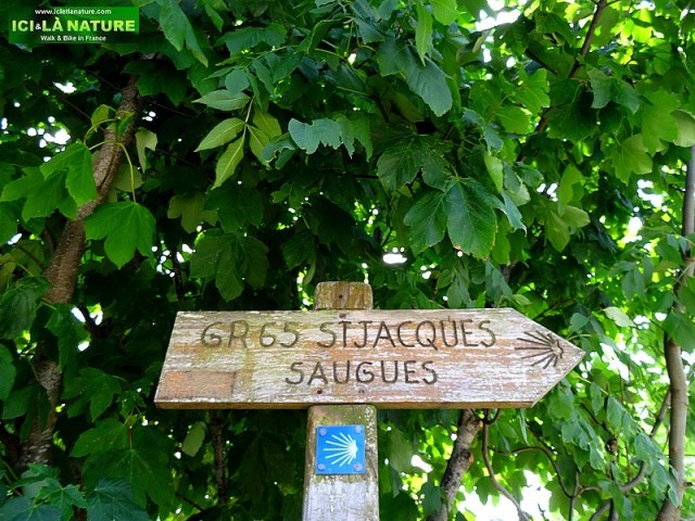 80-camino frances trail le puy route GR 65