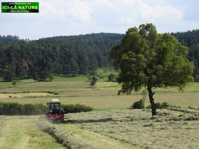 81-hike camino saint james way france