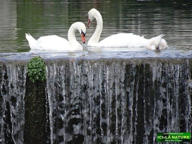 84-cognac cycling trip holidays jarnac