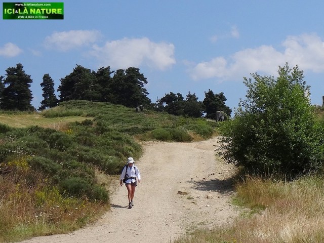 86-hike way saint james camino in france  GR 65