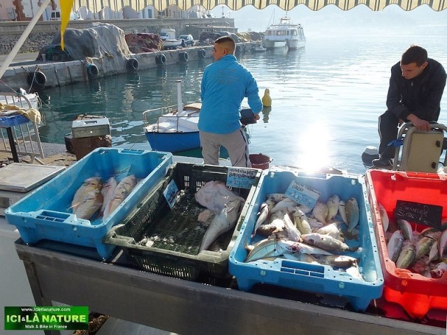 15-walking holdays selfguided south france