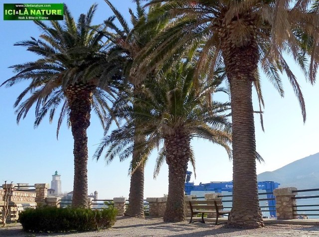 19-france holidays mediterranee