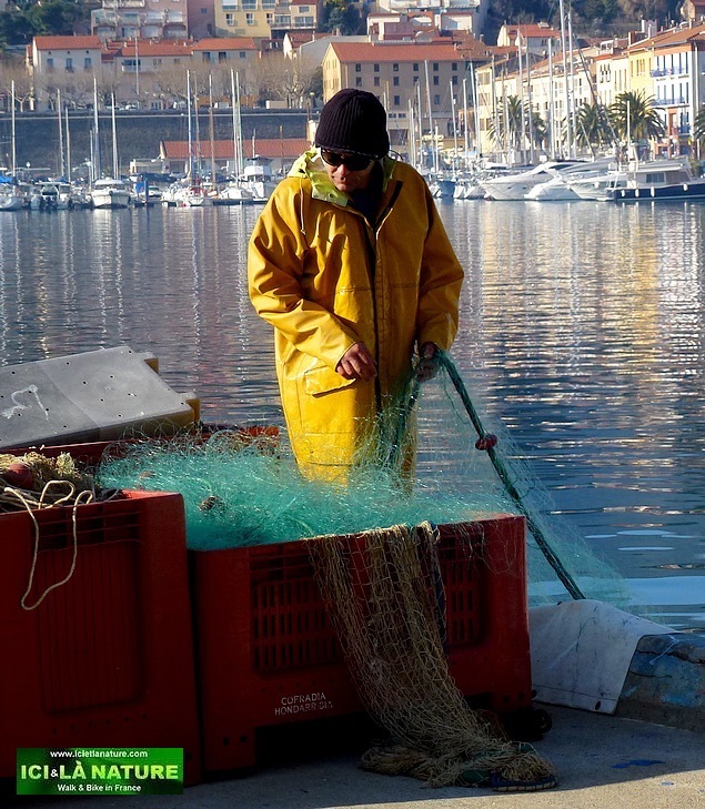 20-pictures of france holidays port vendres