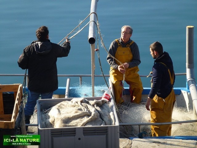 23-south france pictures fishmen port vendres