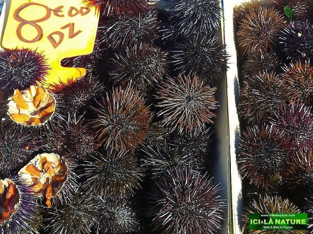 33-picture seafood mediterranean sea