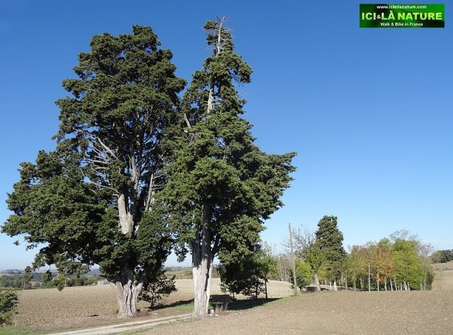 33-way of st james gers