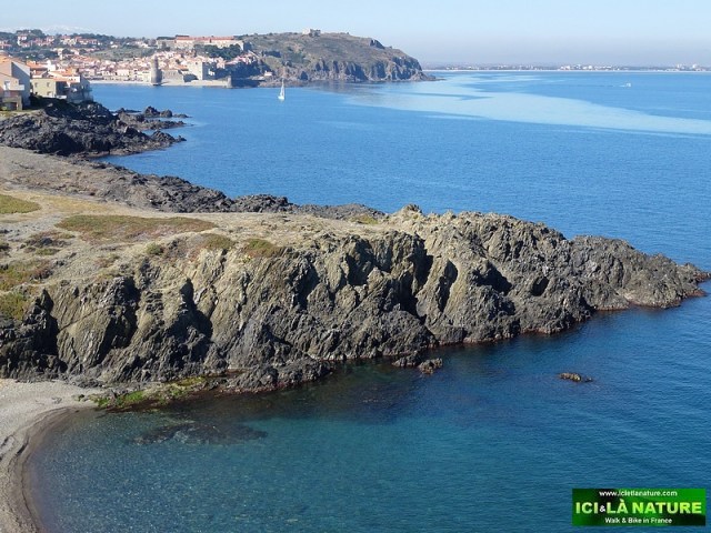 47-collioure mediterranean sea