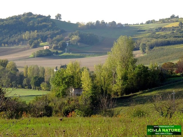 56-pilgrimage camino santiago france cahors lauzerte