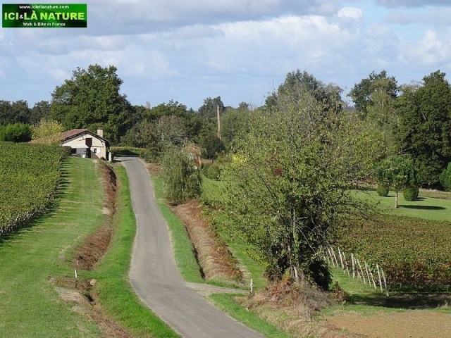 60-way of st james picture armagnac