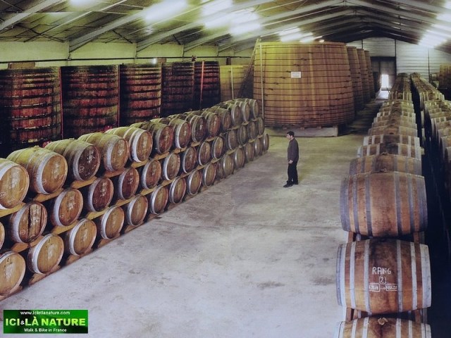 64-way of st james cost