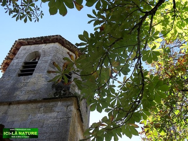 84-walking holidays france camino ways st james