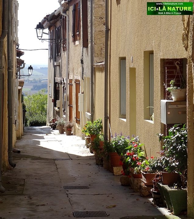 91-camino santiago pilgrimage experience lectoure