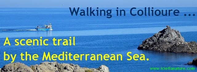walking catalonia mediterranean sea