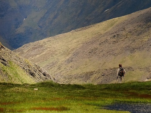 pictures market france agricultural show