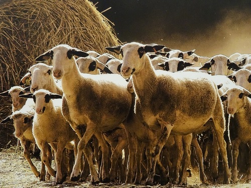 30-walk and bike holidays france