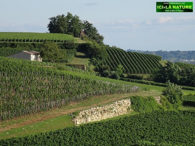 09-saint emilion landscape bordeaux landscape