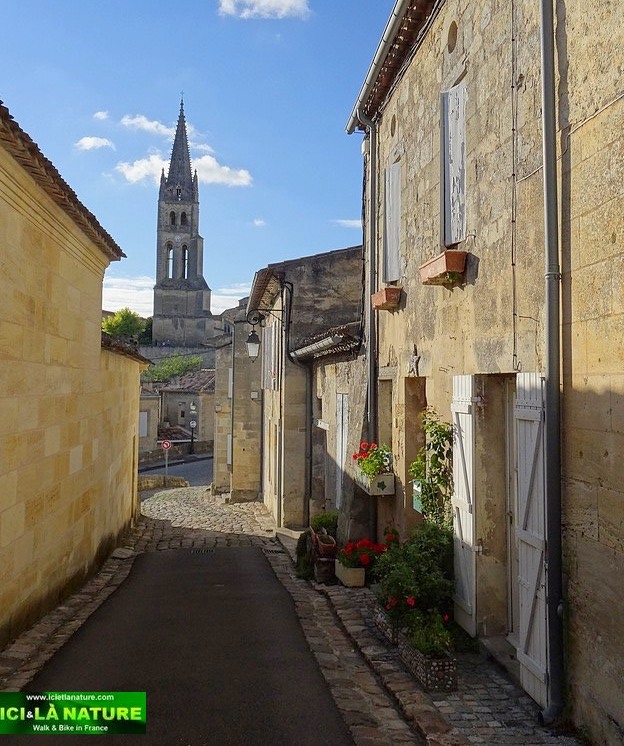 Saint-Emilion : Walking around Bordeaux High Class vineyards.