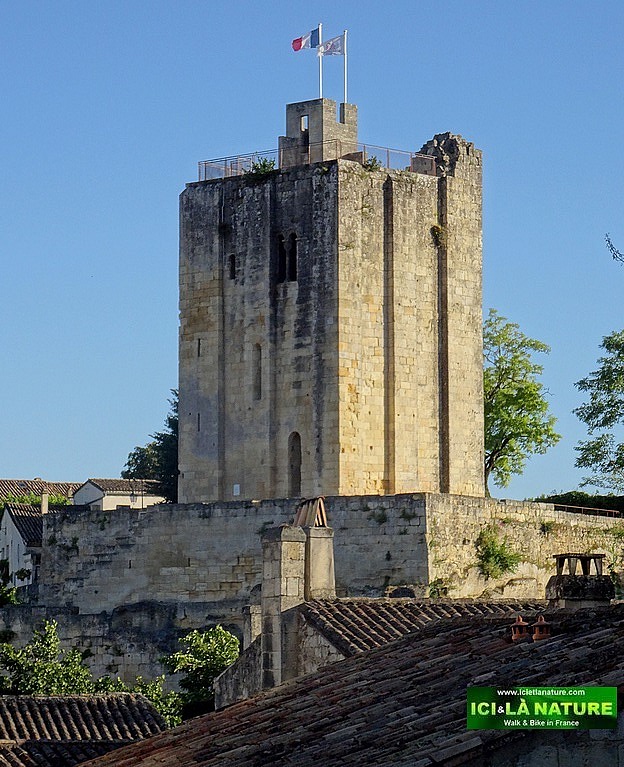 23-biking cycling holidays southern france bordeaux