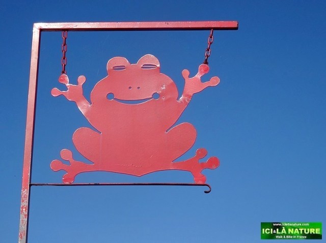 24-honfleur restaurant la grenouille