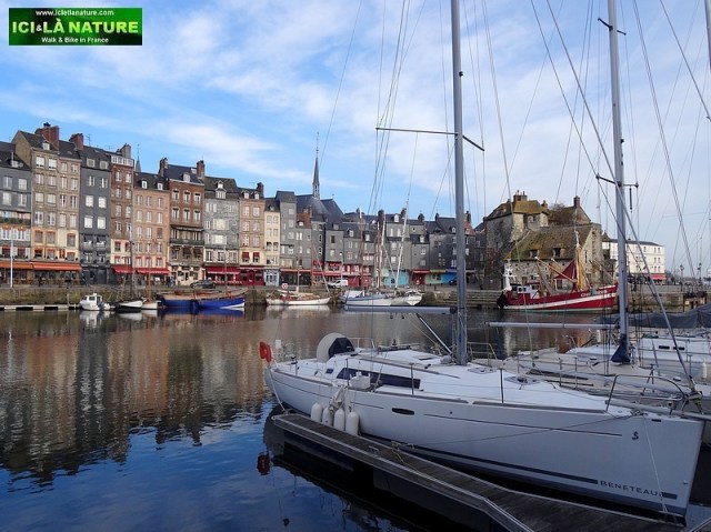 33-honfleur vieux bassin