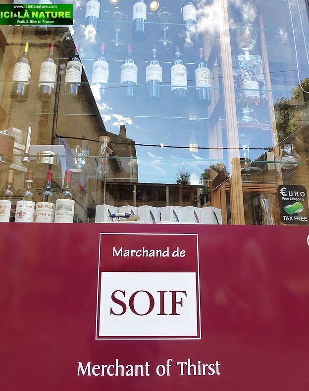  Walking around Bordeaux High Class vineyards.