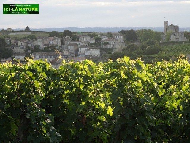 58-saint emilion landscape bordeaux