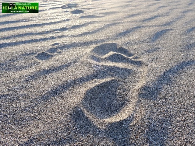 biking tour normandy