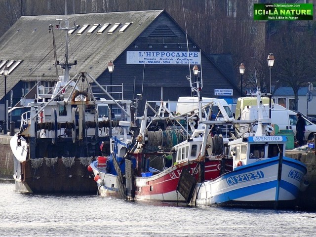 biking normandy coast honfleur harbor