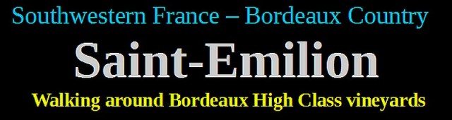 Walking around Bordeaux High Class vineyards saint emilion