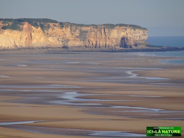04-omaha beach D-day