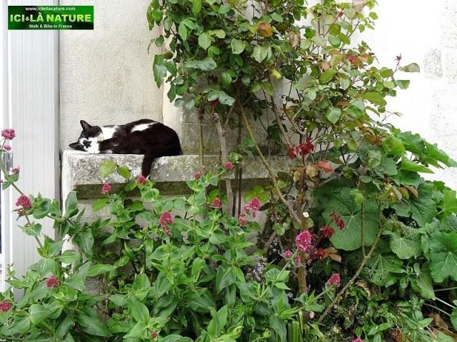 04-talmont sur gironde charente