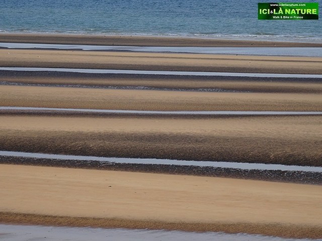 06-omaha beach battle of Normandy