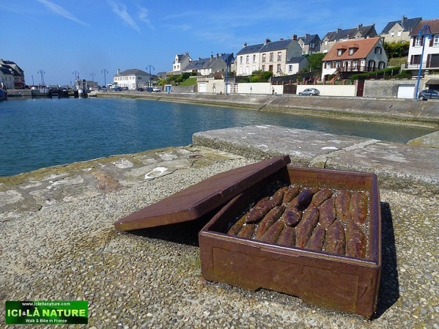 09-normandy landing beaches tourism sightseeing