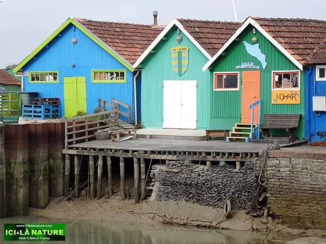 09-ocean atlantique ile oleron