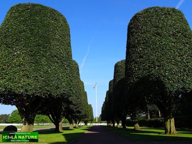 12-normandy Word War II cemetery colleville
