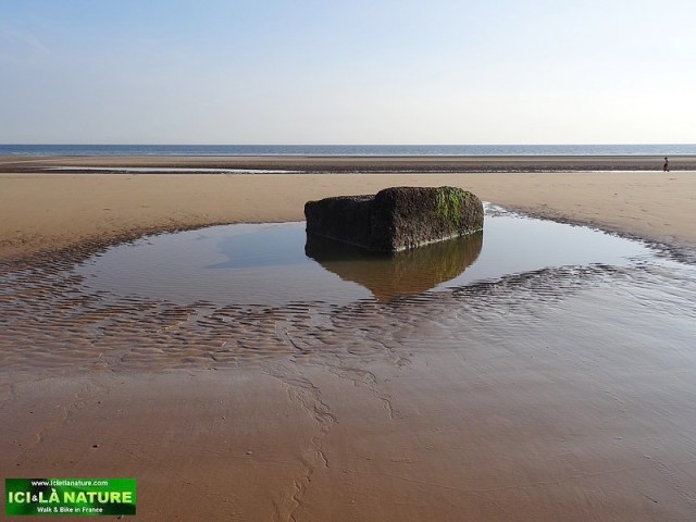 12-omaha beach landing beach colleville