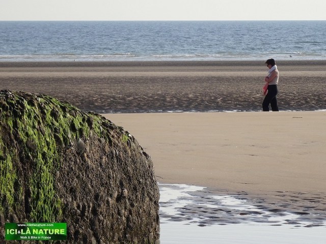 13-omaha beach normandy invasion colleville