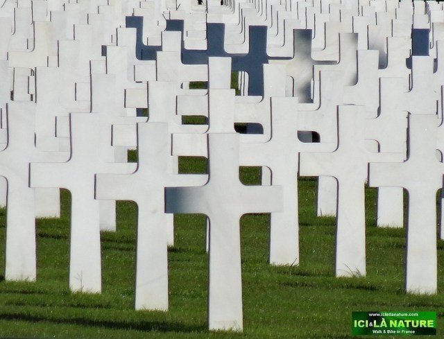 14-graves normandy american cemetery 1944