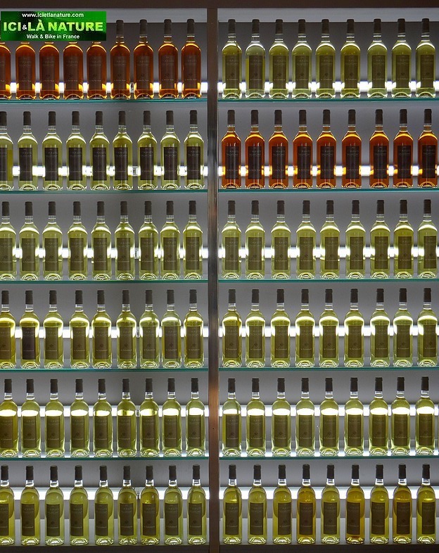 19-french wine talmont charente