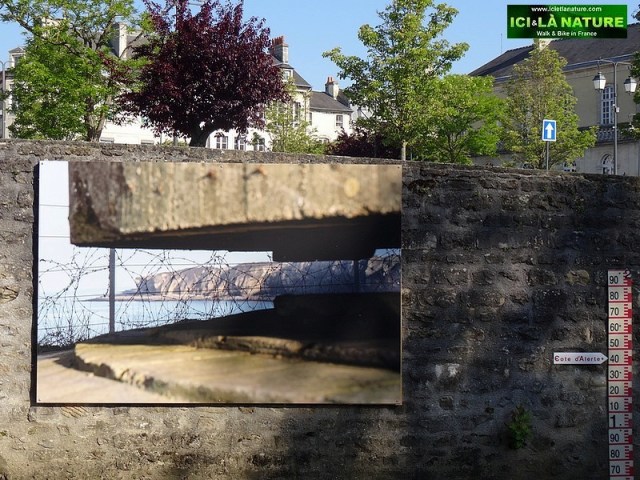 19-operation overlord anniversary normandy