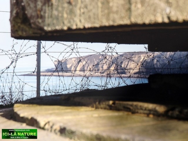 20-D-Day 70th anniversary normandy