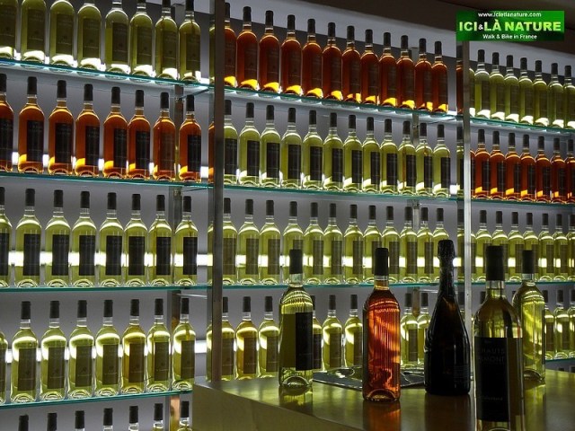 20-french wine talmont royan