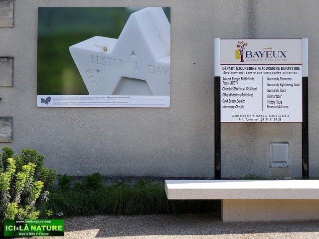 22-Normandy Invasion commemoration