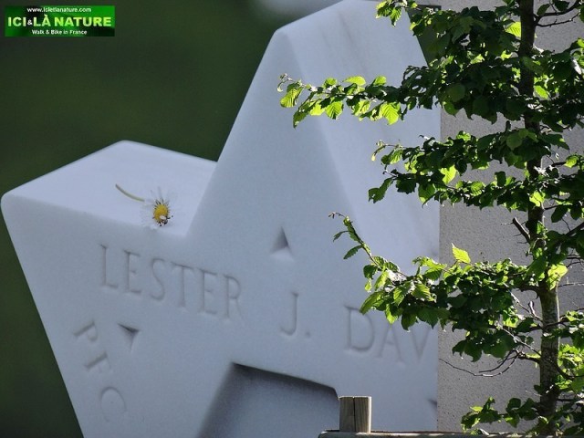 23-D-Day battle of Normandy 1944-2014