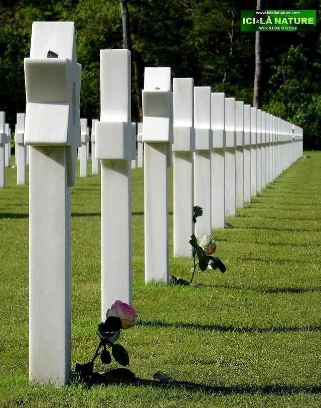 25-commemoration normandy landing 1944