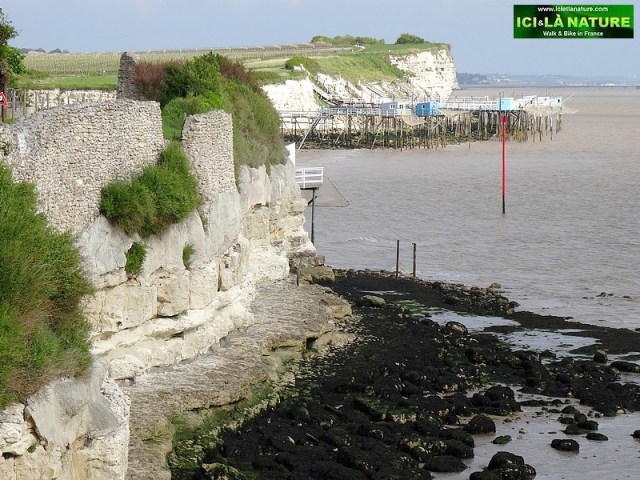 26- rives estuaire gironde talmont
